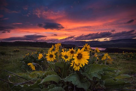 Sunset at the Gorge by Andy Amos art print