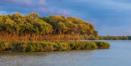 Sundown by the Lake by Bill Carson Photography art print