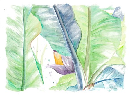 Fresh Banana Plantain by Patricia Pinto art print