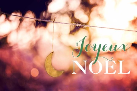 Joyeux Noel by Kelly Poynter art print