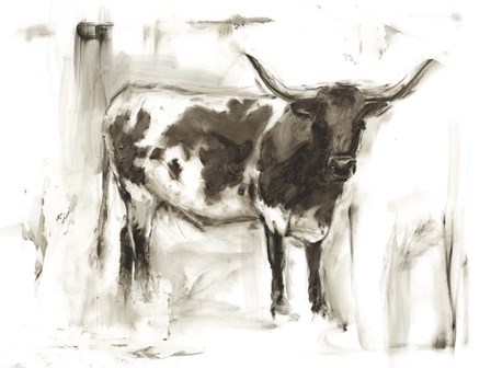 Longhorn Study I by Ethan Harper art print