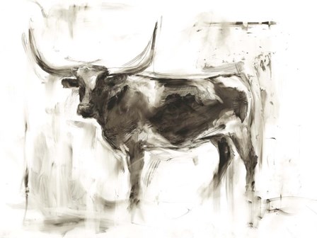 Longhorn Study II by Ethan Harper art print