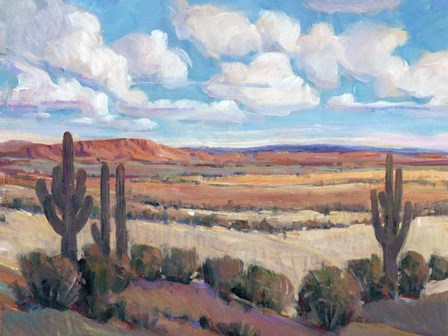 Desert Heat I by Timothy O&#39;Toole art print