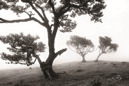 Creatures by Martin Podt art print