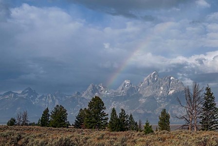 Teton Rainbow by Larry McFerrin art print