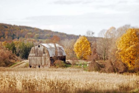 Barn &amp; Beehives by Brooke T. Ryan art print