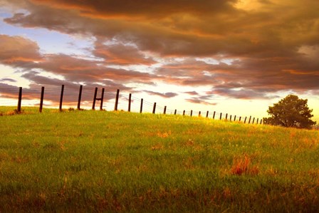 Fenceline, South Dakota by Dale O’Dell art print