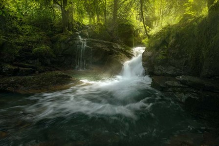 Stream of Life by Enrico Fossati art print