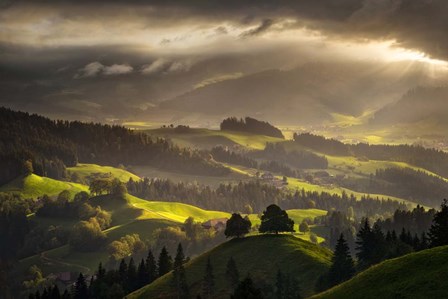 The Shire by Enrico Fossati art print