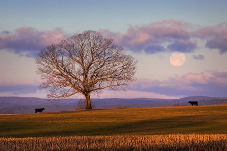 Meeting at Dawn by Patrick Zephyr art print