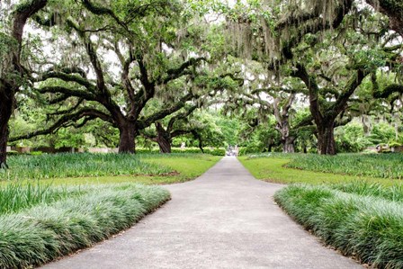 Garden Entrance by Chuck Burdick art print