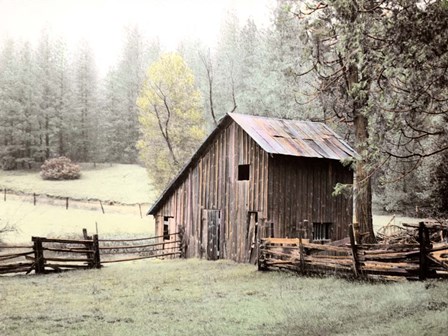 Barn near Sonora by Laura Culver art print