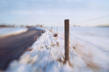 Walking on the Edge of Winter by Dawn Hanna art print