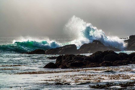 The Wave, Long Beach by Vladimir Kostka art print