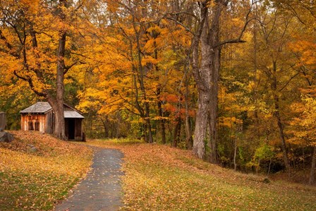 Autumn Home by Natalie Mikaels art print