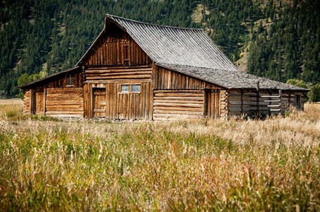 Teton Barn by Tim Oldford art print