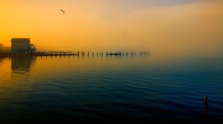 Morning Comes on the Bay by John Rivera art print