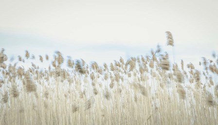 Weaving Through Earth and Sky by Eunika Rogers art print