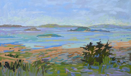 Islands Off the Mainland by Jane Schmidt art print