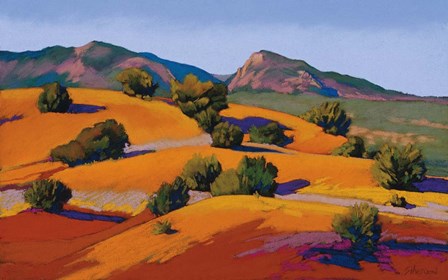 Juniper Hills by Mary Silverwood art print