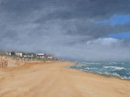 Beach Houses and Surf by Thomas Stotts art print