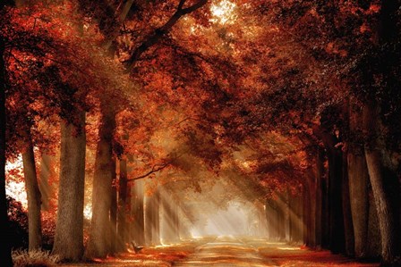 A Seat Not Taken by Lars Van De Goor art print