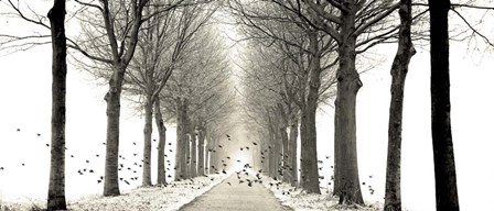 Birds by Lars Van De Goor art print