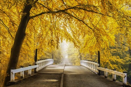 Bridge to Fall III by Lars Van De Goor art print