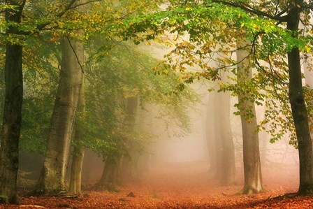 Dreambridge by Lars Van De Goor art print