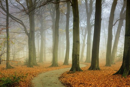 Misty Twisty by Lars Van De Goor art print