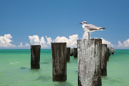 Welcome to Naples, Florida by Verne Varona art print