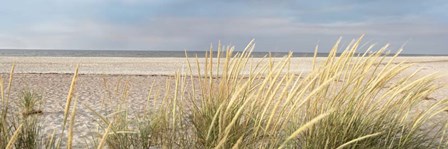 Island Sand Dunes by Alan Blaustein art print