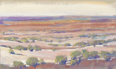 High Desert Pastels I by Timothy O&#39;Toole art print