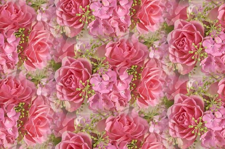 Pink Roses and Hydrangea by Cora Niele art print