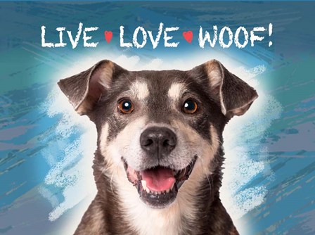 Live Love Woof by Evie Cook art print