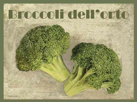 Broccoli Dell&#39;orto by Guido Borelli art print