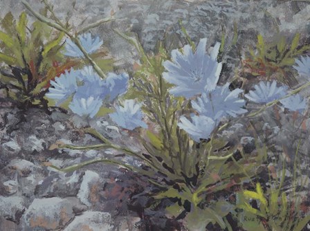 Chickory by Rusty Frentner art print