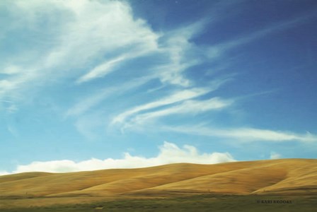 California Sky by Kari Brooks art print