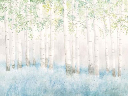 Soft Birches by James Wiens art print