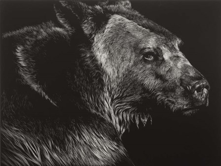 Wild Scratchboard II by Julie Chapman art print