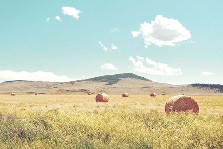 A Day in the Fields by Annie Bailey Art art print