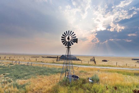 Windmill Sunset by Annie Bailey Art art print