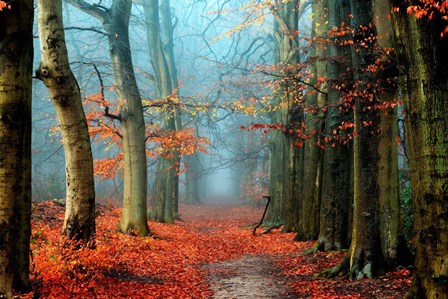 Bussum in Fall by Lars Van De Goor art print