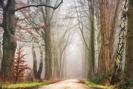 Misty by Lars Van De Goor art print