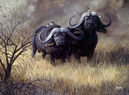 Dugga Boys Caped Buffalo by Terry Doughty art print