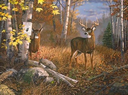 Boss Buck by Terry Doughty art print