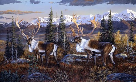 Caribou by Terry Doughty art print