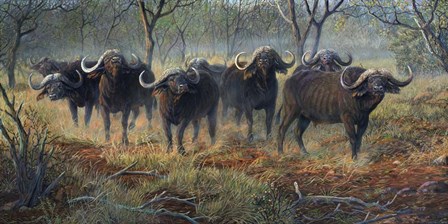 Cape Buffalo by Terry Doughty art print