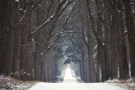 Cold Road by Martin Podt art print