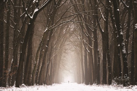 Lochem in Winter by Martin Podt art print